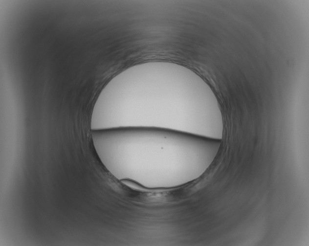 X0000111030335200906251123