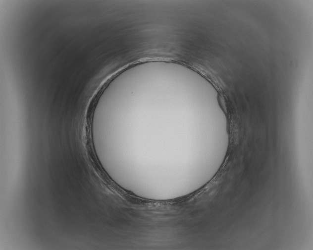 X0000111030338200906251122