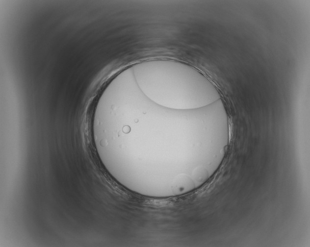 X0000111030339200906251122