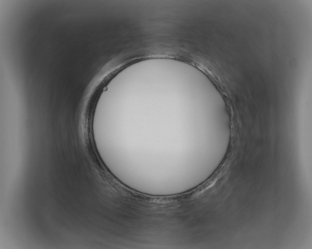 X0000111030343200906251122