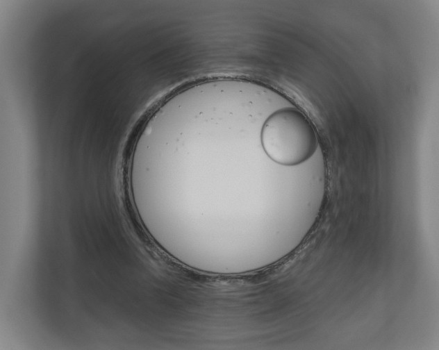 X0000111030346200906251122