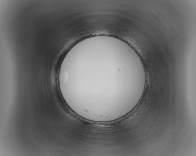 X0000111030347200906251122