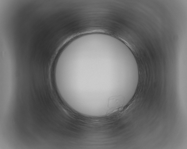 X0000111030350200906251122
