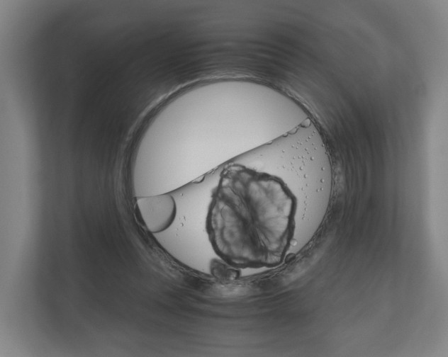 X0000111030351200906251122