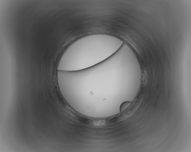 X0000111030355200906251122