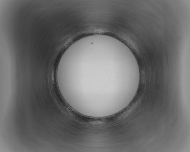 X0000111030358200906251122