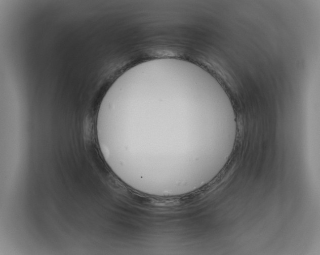 X0000111030359200906251122