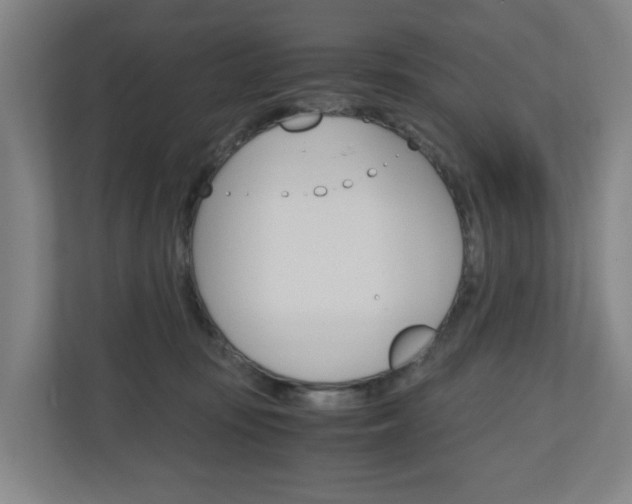 X0000111030371200906251122