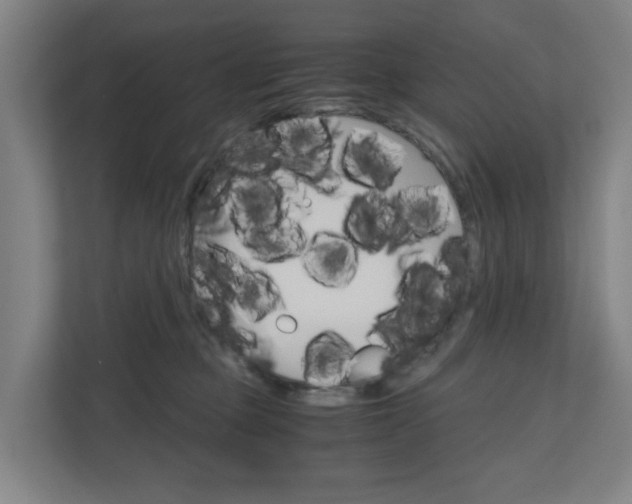 X0000111030373200906251122