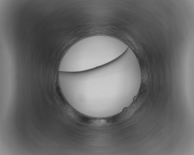 X0000111030374200906251122