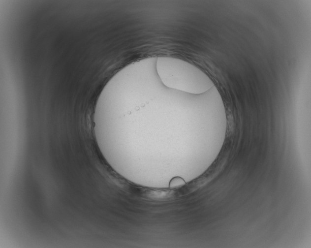 X0000111030375200906251122