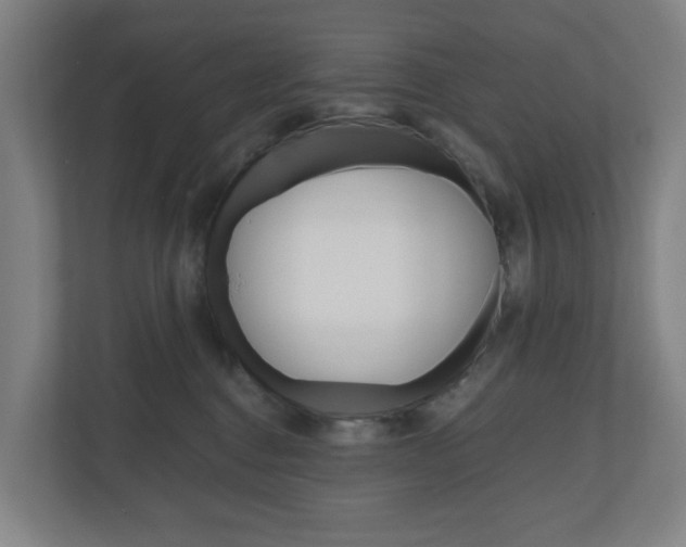 X0000111030376200906251122