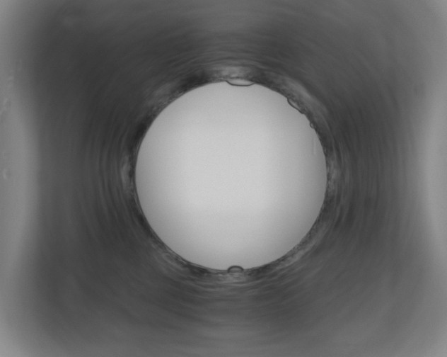 X0000111030377200906251122