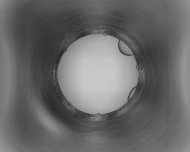 X0000111030381200906251122