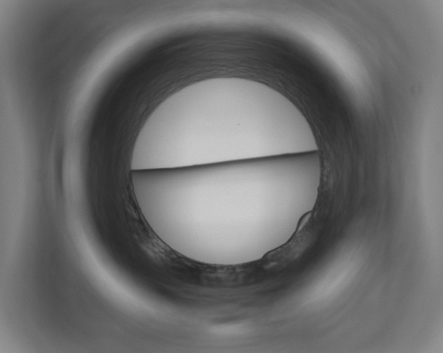 X0000111030383200906251123