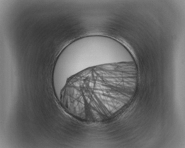 X0000111030385200906251122