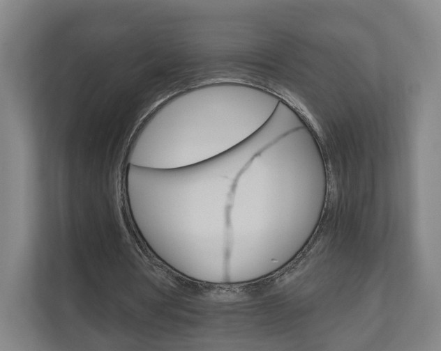 X0000111030386200906251122