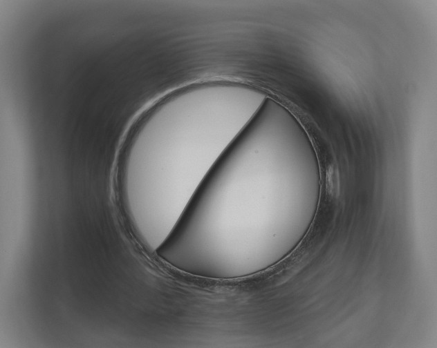 X0000111030388200906251122
