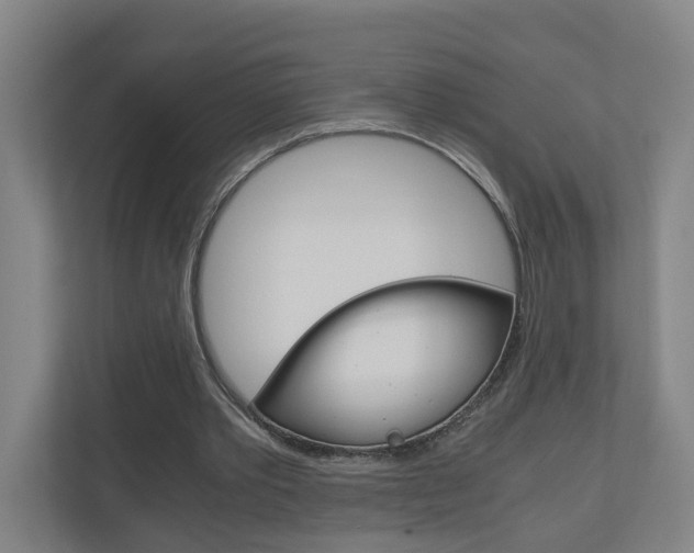 X0000111030389200906251122