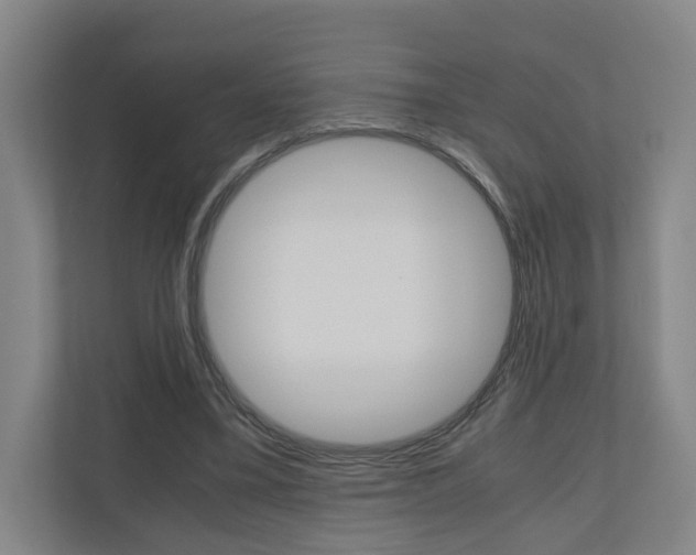 X0000111030395200906251122