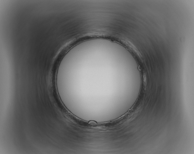X0000111030396200906251122