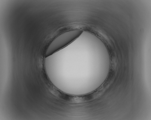 X0000111030413200906251122