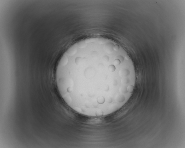 X0000111030418200906251121