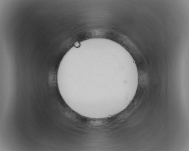 X0000111030419200906251121