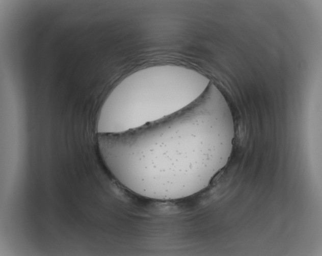 X0000111030424200906251121