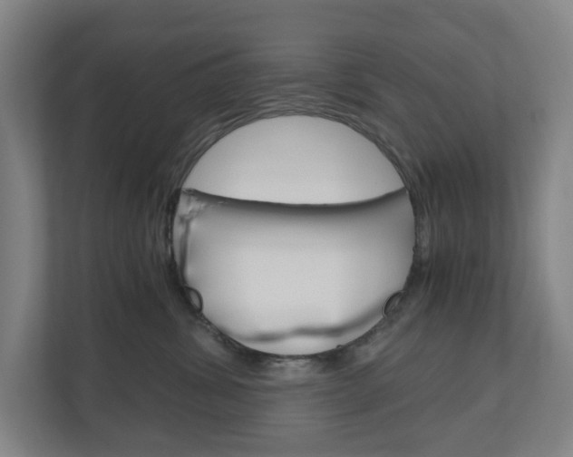 X0000111030428200906251121