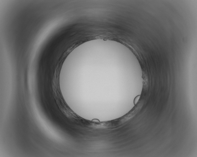 X0000111030430200906251121