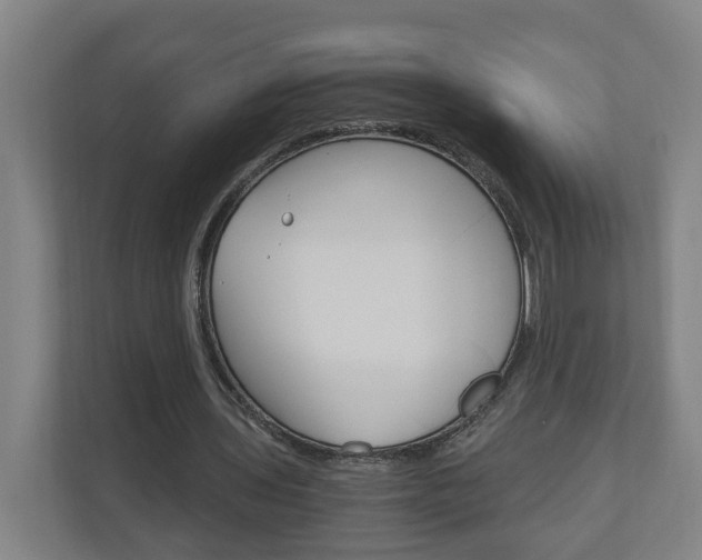 X0000111030435200906251121