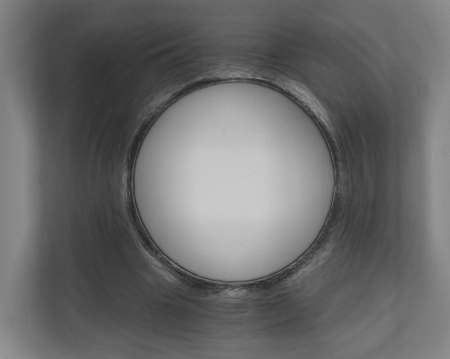 X0000111030441200906251121