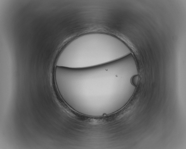 X0000111030442200906251121