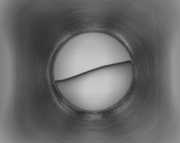 X0000111030443200906251121