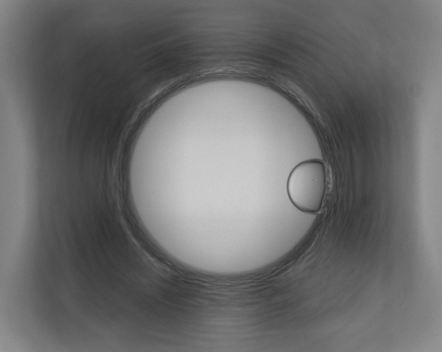 X0000111030444200906251121