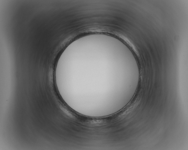 X0000111030445200906251121