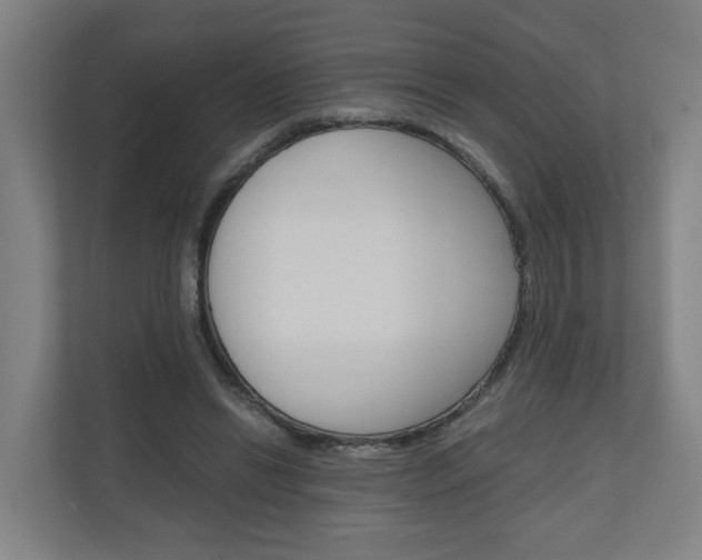 X0000111030446200906251121