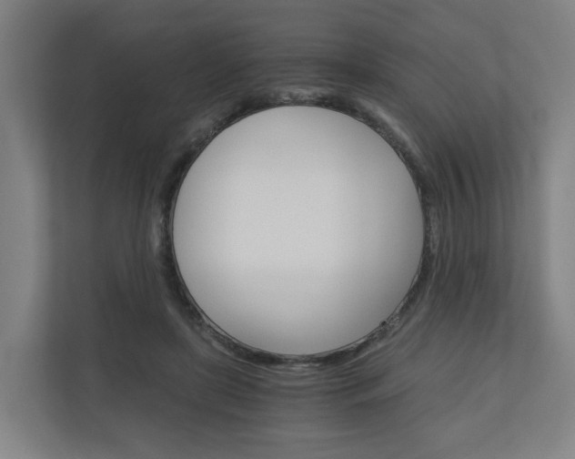 X0000111030451200906251121