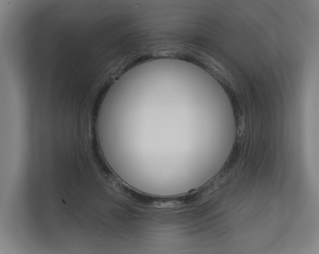 X0000111030452200906251121