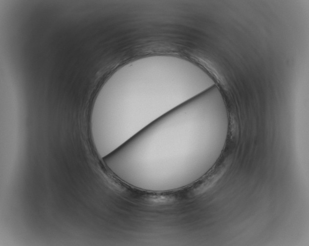X0000111030453200906251121