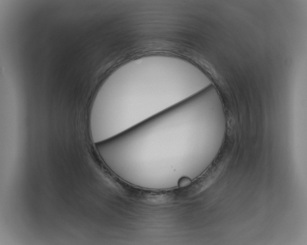 X0000111030454200906251121