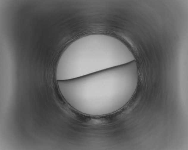 X0000111030455200906251121