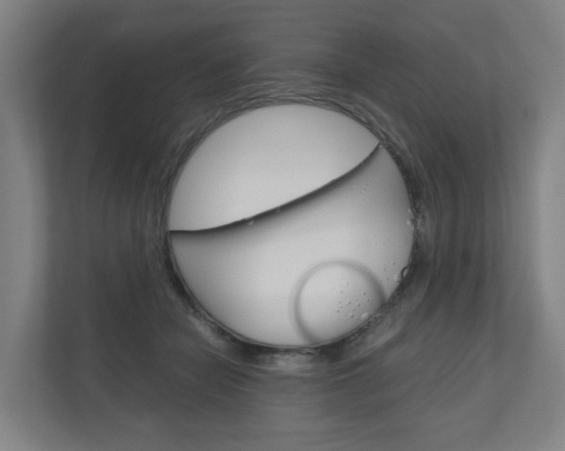 X0000111030462200906251121