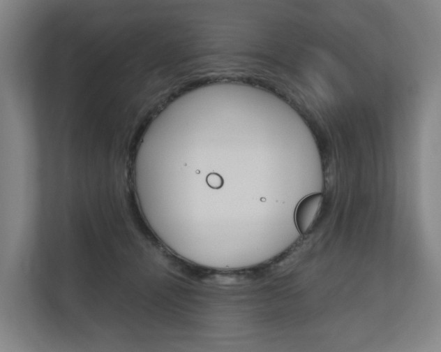 X0000111030464200906251121