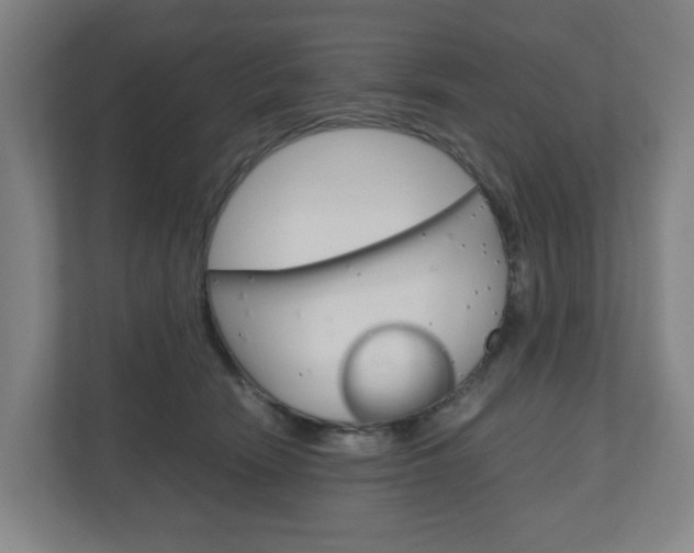 X0000111030466200906251121