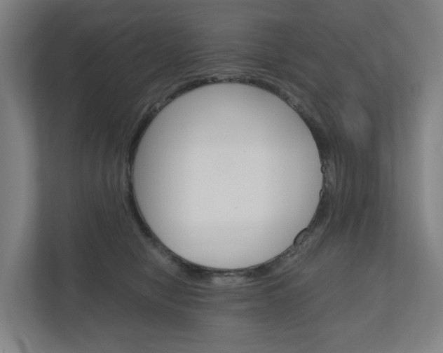 X0000111030470200906251121