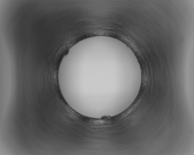 X0000111030473200906251121