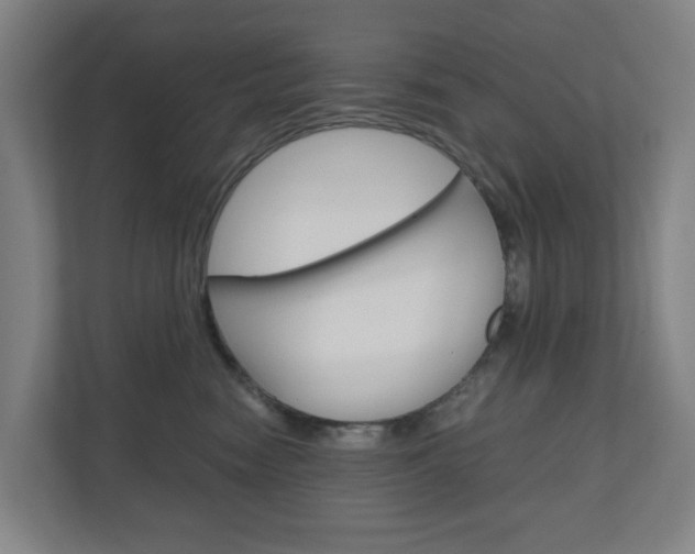 X0000111030474200906251121