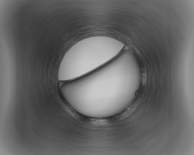 X0000111030476200906251121